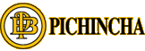 logo_pichincha_banca